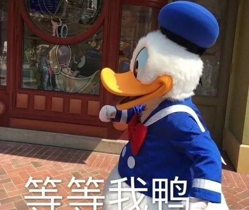 hey,duck不是你好,鸭子真相让人吐血
