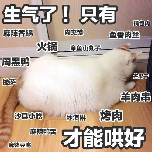 会长韶韶三月开启一季度不要懒惰啊