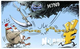 家禽表情包企业资金