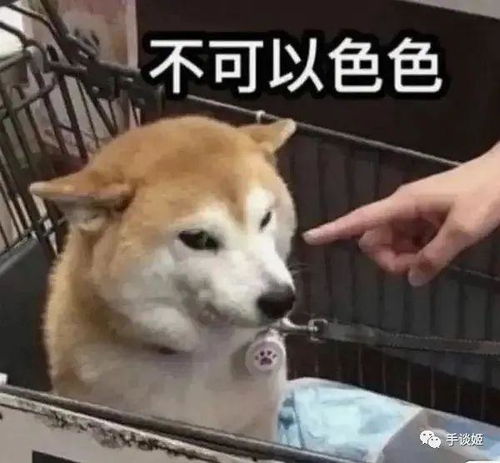 卧槽元宇宙落地网易居然推出了多人在线飞机杯