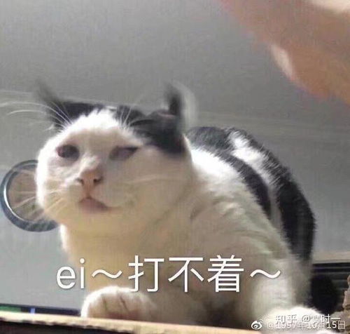 你给我滚下马来表情包给我