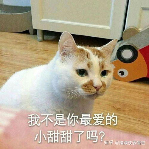 严肃的表情包图片真人