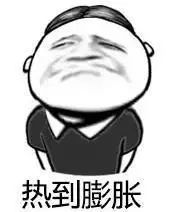 瑞奇热维斯表情包刘兄