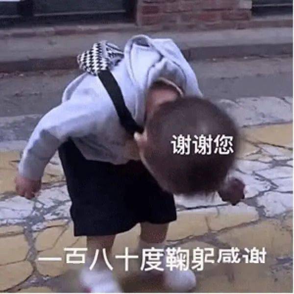 谢谢老板丨第311期喵表情包