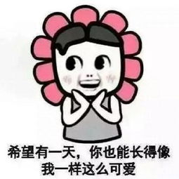 不要这样子先生表情包