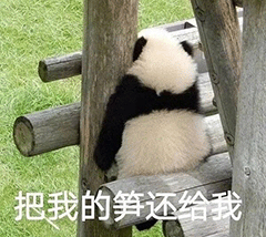 可爱动物的沙雕表情包