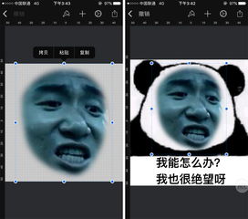 微信聊天时怕尬聊这里有最全的表情包制作教程