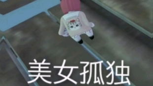 合集图片来喽