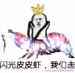 皮皮虾突然爆红网络帝王蟹和蓝鳍金枪鱼表示不服