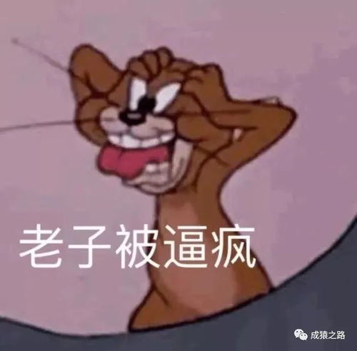 520都准备好了吗送大家一些金句,进来看看吧