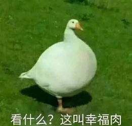 丰县施行加油站点星级化管理徐州与七市开办公积金贷款互认互贷