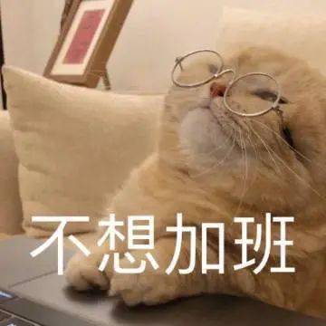 快来看我两米的大长腿丨第118期喵表情