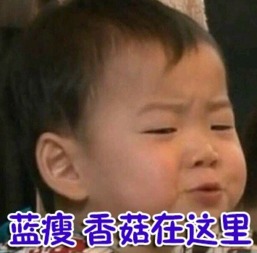 表情包之王宋民国