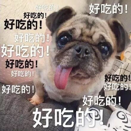 小狗的表情包