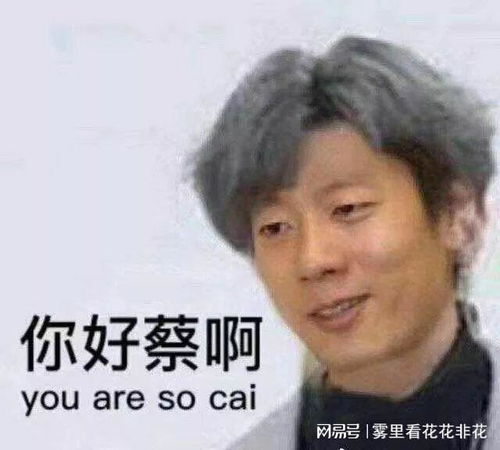 为什么现在的乐坛堕落的这么快