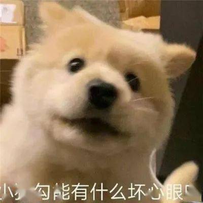 小猫咪到底有没有坏心眼呢表情包