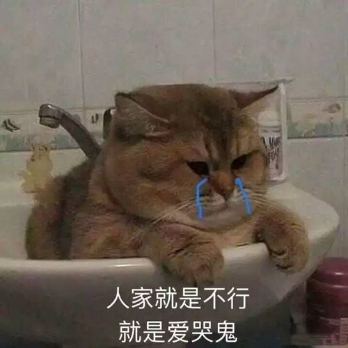 如何对待男友身边的绿茶