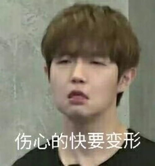 分享一波忘拿碗表情包