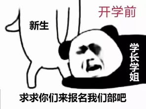 纳新时学长学姐内心真实os