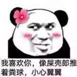 520表白表情包要找对象冲我来,嫁给别人算什么本事