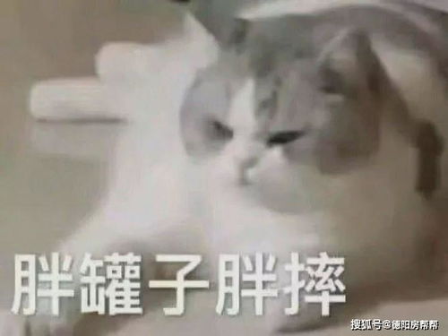 2019年度施工进度大总结德阳市区哪些楼盘修得又快又好