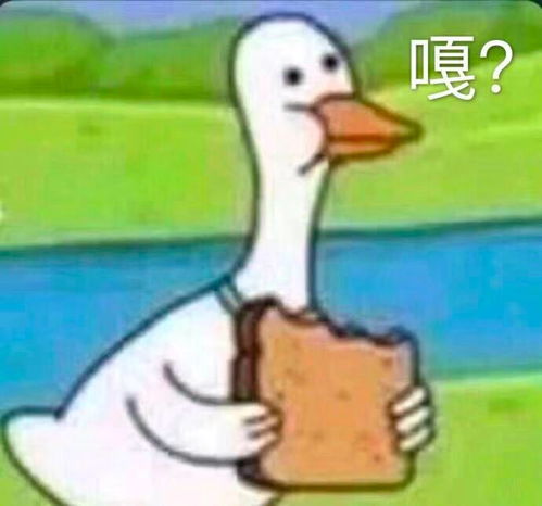 e句话看天下王一博肖战傻傻分不清最近的金主操作都有点骚