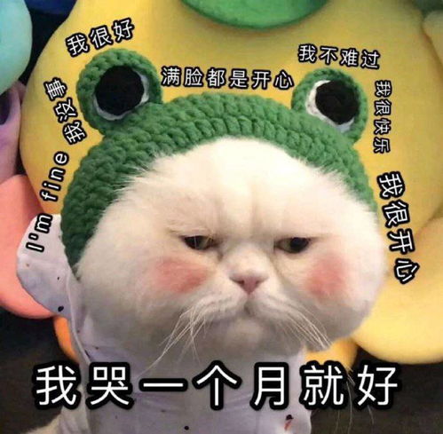 萌宠表情包带字图片困水果