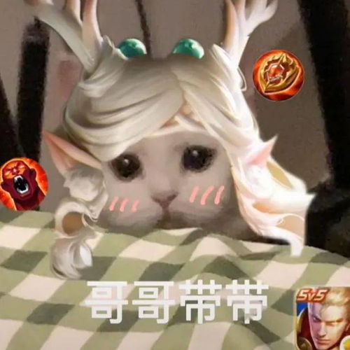 王者荣耀猫狗表情包