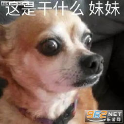 这么好的年纪我却是个胖子图片我乖巧的微笑着表情包图片下载乐游网游戏下载