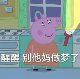 收好这套小猪佩奇表情包,怼人撕逼剁手卖萌都充满了底气
