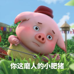 婚姻怕是个养猪场啊老公四年前和现在大对比,哈哈哈