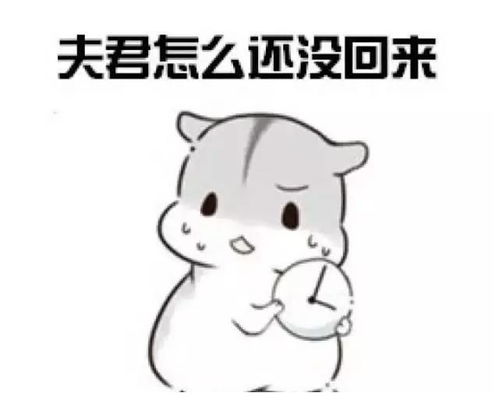 搞笑段子你做的饭太难吃啦我攒了两星期的零花钱,就为吃一顿