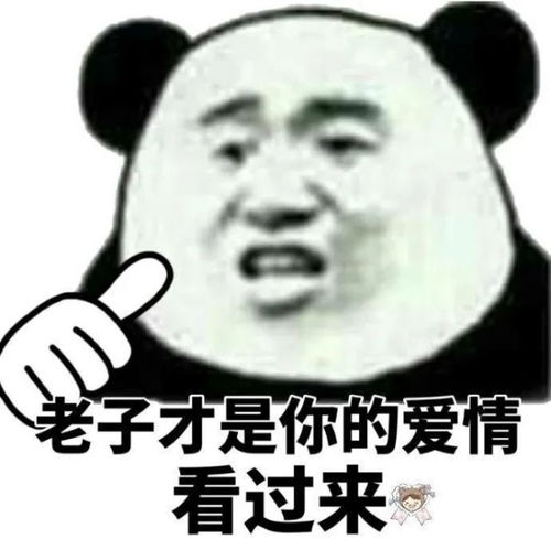 贴心女友都送这些礼物送男友礼物精选