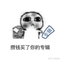 你的宝藏歌手是谁