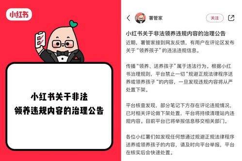 小红书回应平台有人领养孩子已对相关评论做下架处置7x24小时财经新闻