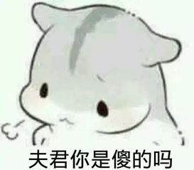 可爱仓鼠夫妇表情包