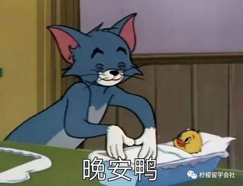 柠檬sgu日本法政大学sgu英文授课本科gis课程申请条件