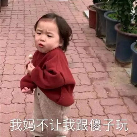 斗图表情包合集能和你过圣诞节吗