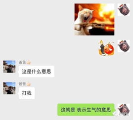 千万不要给爸妈发表情包他们对表情包的理解和你不同
