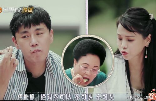 52岁伊能静爬树,婆婆全程担心,秦昊的表情暴露夫妻真实感情