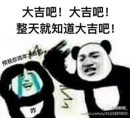 送你们一堆过年用的表情包