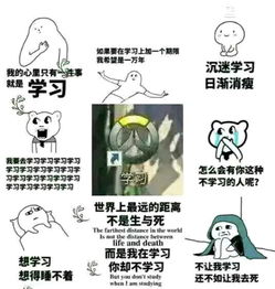 整天沉迷表情包