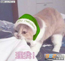 今夜我就是你的圣诞礼物喜欢吗图片我能和你过圣诞节吗表情包下载乐游网游戏下载