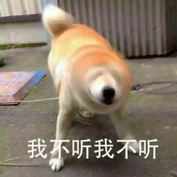 日本火到爆的瘦腰神器每天吃几粒,小肚腩不见了