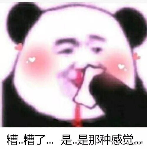 三战雅思上8没有你想象中那么难,4000字超详细备考攻略分享