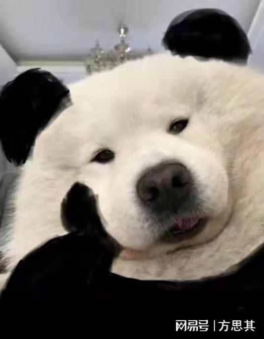现代人是如何被宠坏的