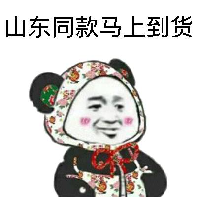 熊猫举手表情包插兜