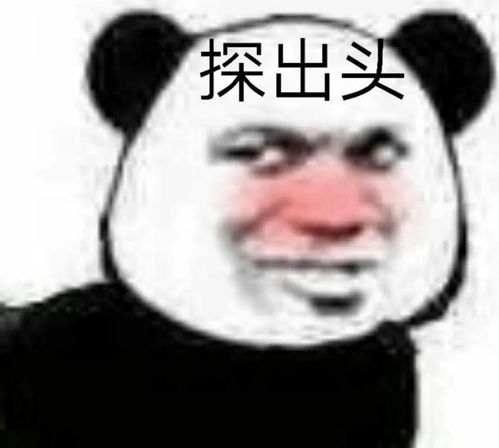 熊猫头表情包迪迦变身