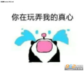 小子报段位表情包小火汁摇了我叭表情包图片下载乐游网游戏下载