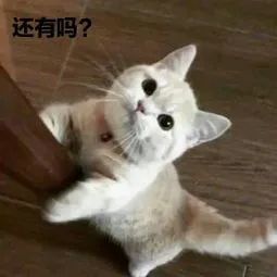 通知焦作人的假期要来了